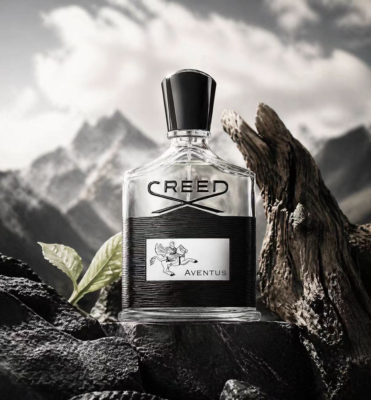 Creed Aventus: Audacious & Tim – Creed Aventus Dupe recenzja i cena