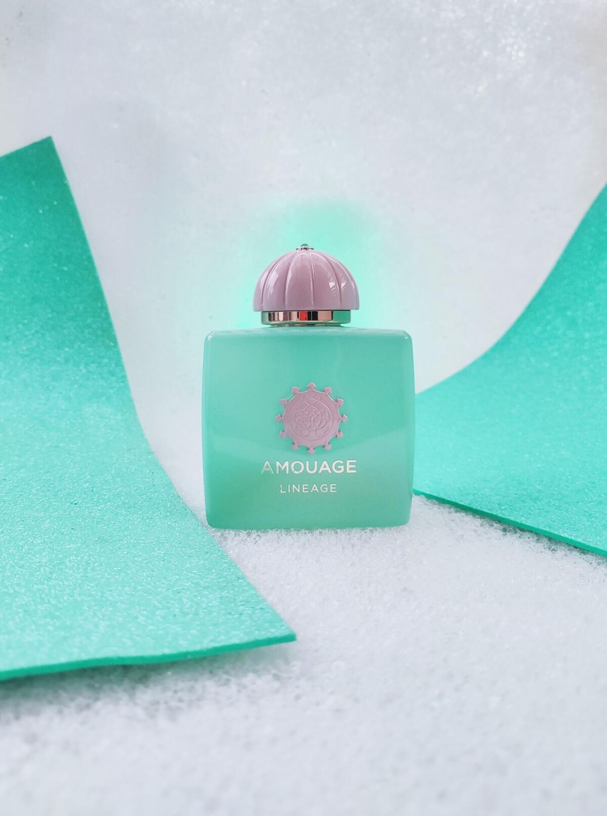 Amouage Guidance 46 Lineage Ou – Perfume Fragrance Deluxe recenzja i cena